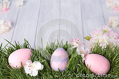 Decorated easter eggs in the grass Stock Photo