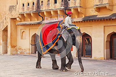 Decorated elephant walking in Jaleb Chowk main courtyard in Am Editorial Stock Photo