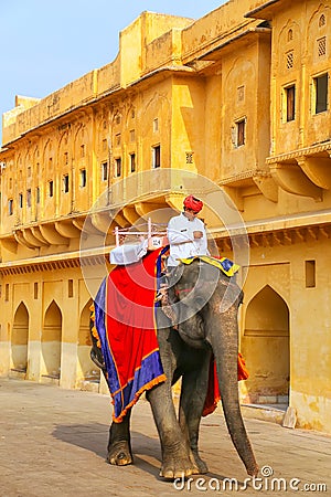 Decorated elephant walking in Jaleb Chowk main courtyard in Amber Fort, Rajasthan, India Editorial Stock Photo