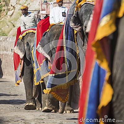 Decorated elephants in Jaleb Chowk in Amber Fort in Jaipur, India. Editorial Stock Photo