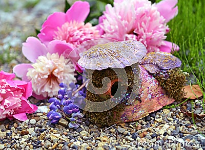 Decorated fairy cottage with shell roof and peony flowers Stock Photo