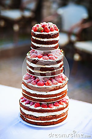 Decorated by fruits colorful naked cake, rustic style for weddings, birthdays and events. Beautiful wedding cake, close up of cake Stock Photo