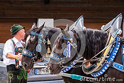 Decorated horse team at a parade in Garmisch-Partenkirchen, Garmisch-Partenkirchen, Germany - May 20. Editorial Stock Photo