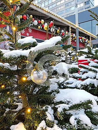 Decorated with lights and toys for Christmas, live Christmas trees under the snow Stock Photo