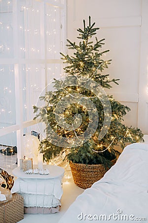 Decorated mirror and live Christmas tree with lights. New year's interior, festive atmosphere, decor, garlands Stock Photo