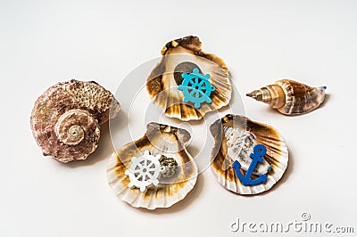 Decorated sea shells with marine wheel and anchor Stock Photo