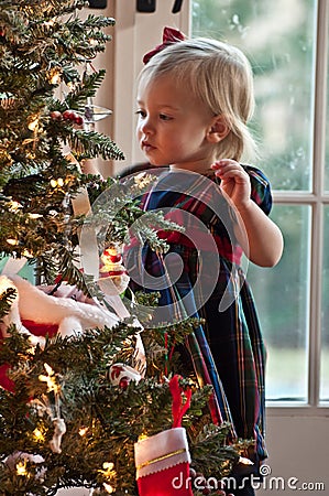 Decorating The Christmas Tree Stock Photo