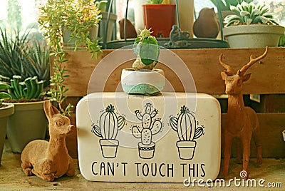Decoration of an indoor gardening space with a lovely notice board Stock Photo