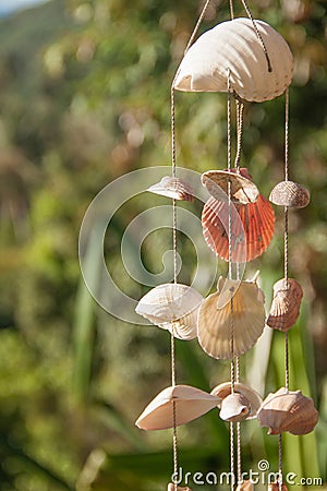 Decoration made of sea shells on the thread Stock Photo