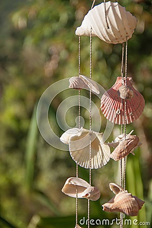 Decoration made of sea shells on the thread Stock Photo