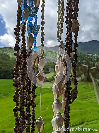 decoration made of shells connected by thread Stock Photo