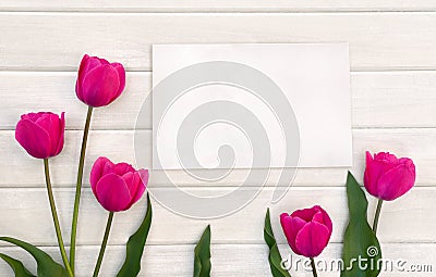 Decoration of Mothers day or Valentine day. Beautiful pink tulips and blank sheet on background of white painted wooden planks Stock Photo