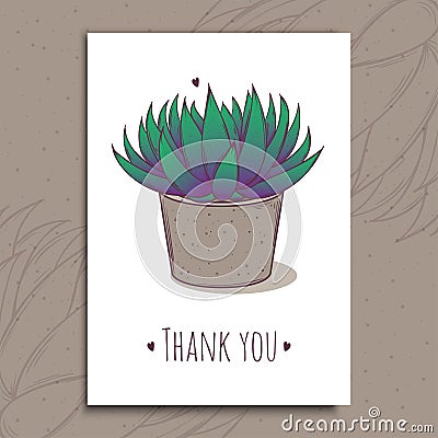 Decoration plant succulent astroloba tenax. Greeting post card thank you text. Vector illustration. Vector Illustration