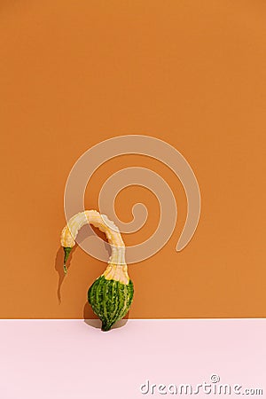 Decoration Pumpkin. Fall autumn minimal concept. Still life fashion Stock Photo