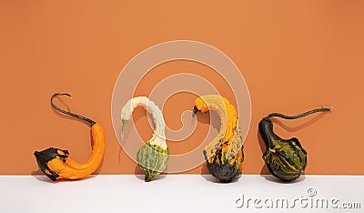 Decoration Pumpkin set. Fall autumn minimal concept. Still life fashion Stock Photo