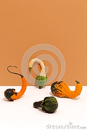 Decoration Pumpkins. Fall autumn minimal concept. Still life fashion Stock Photo