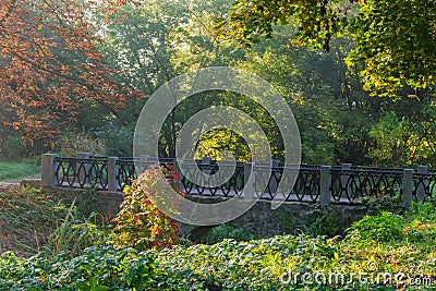 Decorative arched stone footbridge in autumn park Stock Photo