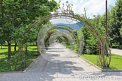 Decorative arches for climbing plants and flowers on the embankment of Lake Abrau. Russia, Krasnodar Krai, village of Abrau-durso, Editorial Stock Photo