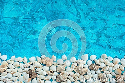 Decorative arrangement of sea shells on a blue background Stock Photo