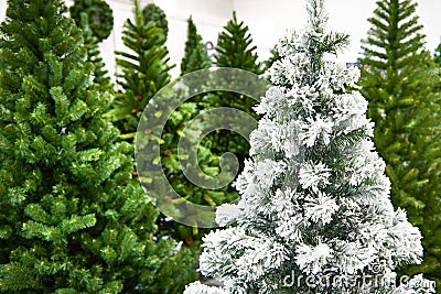 Decorative artificial christmas trees in store Stock Photo