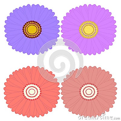 Decorative aster flowers top view, design elements. Vector Illustration