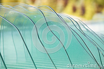 Decorative beveled and tempered glasses in an ornamental pool Stock Photo