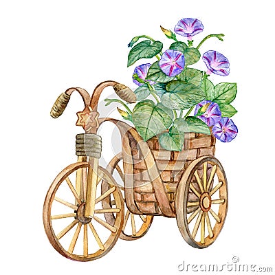 Decorative bicycle, basket with flowers isolated on white background. Flower pot. Stand for flowers. Plant Stands. Watercolor Stock Photo