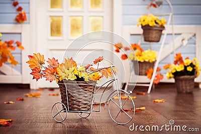 Decorative bicycle with basket with yellow leaves and autumn gr Stock Photo