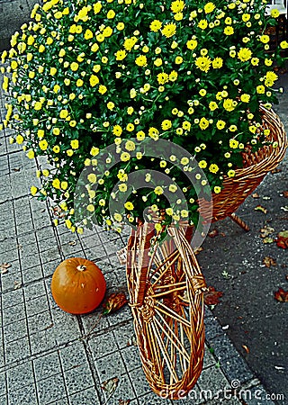 Decorative bike made from twigs 2 Stock Photo