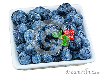 Washed blueberries. Decorative cranberry twig. Isolated on white background Stock Photo