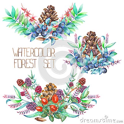 A decorative bouquets with the watercolor forest elements: blackberries, barberries, cones, branches and blueberries Stock Photo