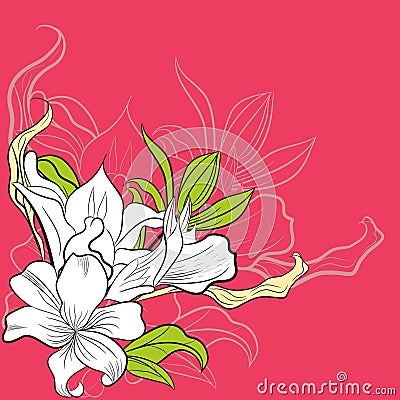 Decorative card Vector Illustration