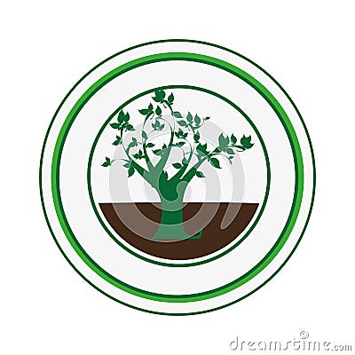 Decorative circular frame with leafy tree plant Vector Illustration