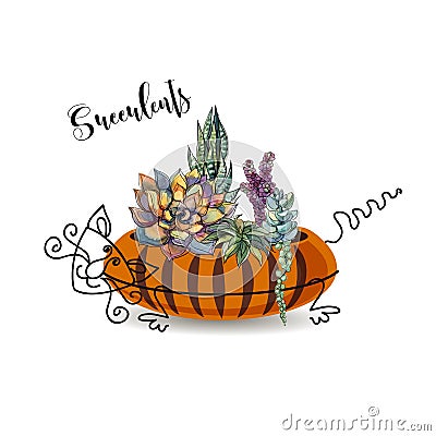 Decorative composition of succulents. In a flowerpot in the form of a striped cat. Graphics with watercolor. Vector. Vector Illustration