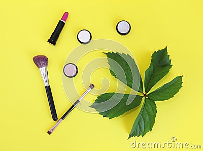 Decorative cosmetics, eye shadow, lipstick, mascara, makeup brushes Stock Photo