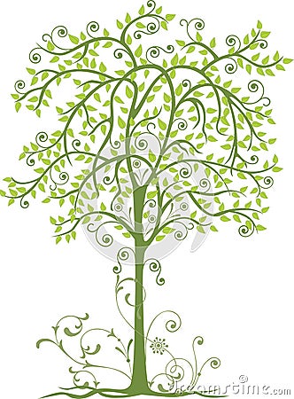 A decorative deciduous tree Vector Illustration