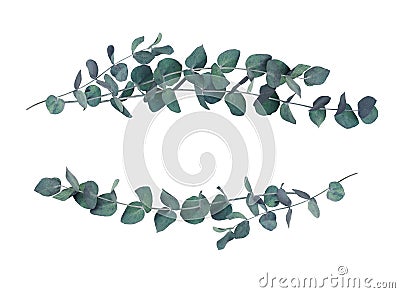 Decorative eucalyptus leaves wave arrangements Stock Photo