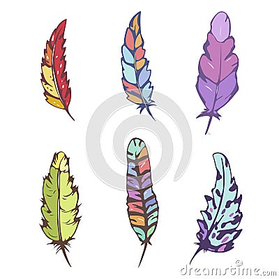 Decorative feather vector set Vector Illustration