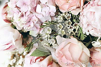 Decorative feminine floral composition. Closeup of pink roses petals, peonies, hydrangea ,chameleucium flowers Stock Photo