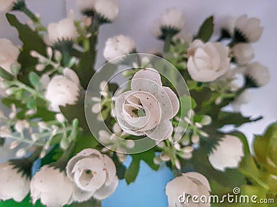 Decorative flowers with a mixture of green and white Stock Photo