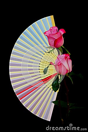 Decorative folding paper fan and a pair of pink roses Stock Photo