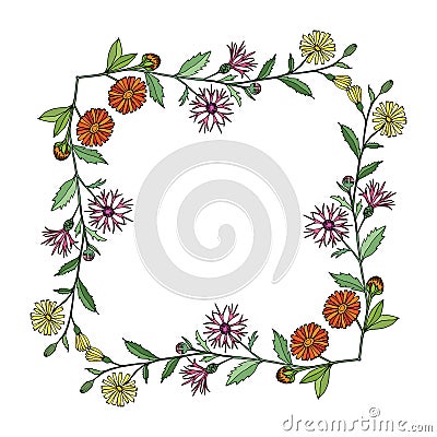 Decorative frame template with an ornament of bouquets of wild flowers calendula, daisy, chamomile. Vector Illustration