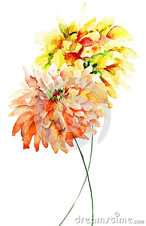 Decorative Gerber flowers Cartoon Illustration