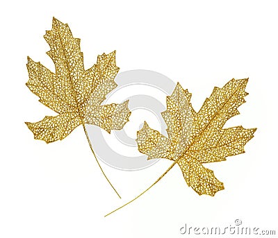 Decorative golden leaves Stock Photo