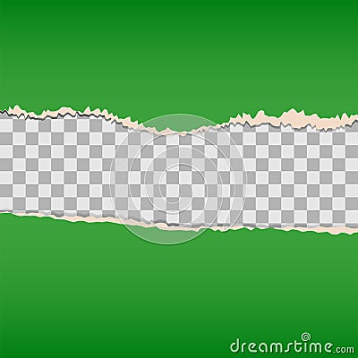 Decorative green torn paper Vector Illustration