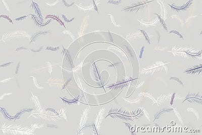 Decorative hand drawn feather illustrations. Style, graphic, art & vector. Vector Illustration