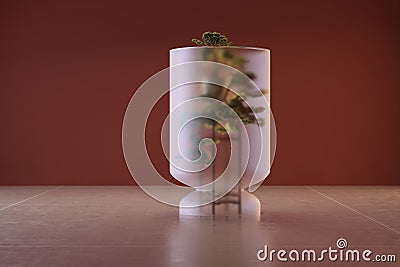 Bonsai tree on a pedestal under a glass dome Stock Photo