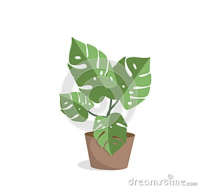 Decorative indoor flower in a pot. Vector Illustration