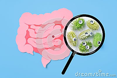 Decorative intestine and magnifying glass showing harmful bacteria inside the intestine. The concept of probiotics and prebiotics Stock Photo