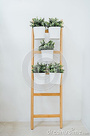 A decorative ladder plant stand to grow several plants together vertically. Stock Photo